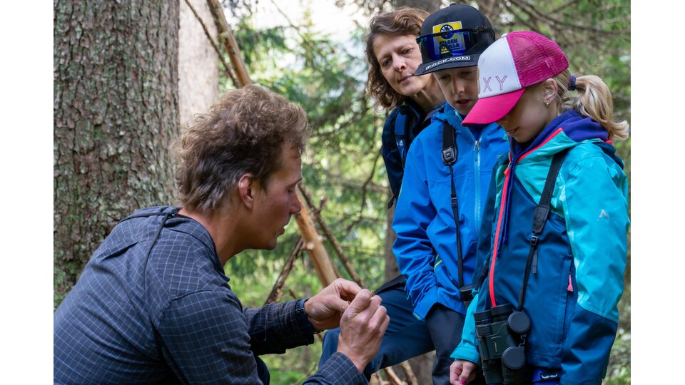 lebensraumbergwald | © Arosa Tourismus / Simon Strauss